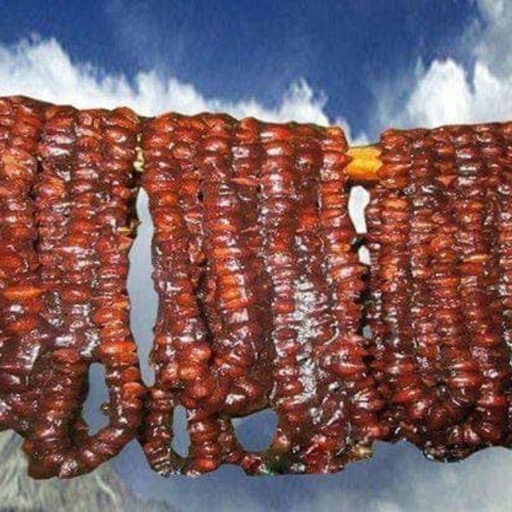 Traditional Killawo from Gilgit-Baltistan – Handmade Walnut & Grape Juice Sweet | Natural Mountain Delicacy